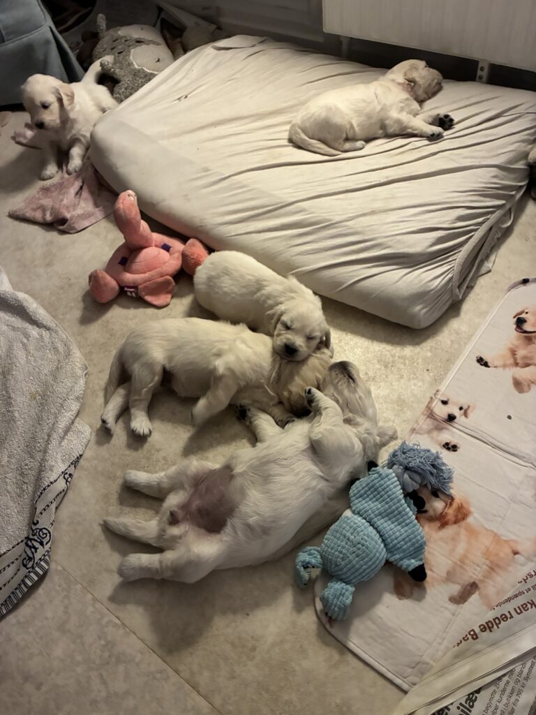 So cute.